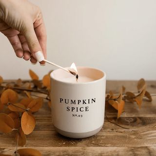 Silver Mushroom pumpkin spice candle