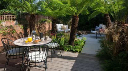 A modern garden and decking area, filled with palms