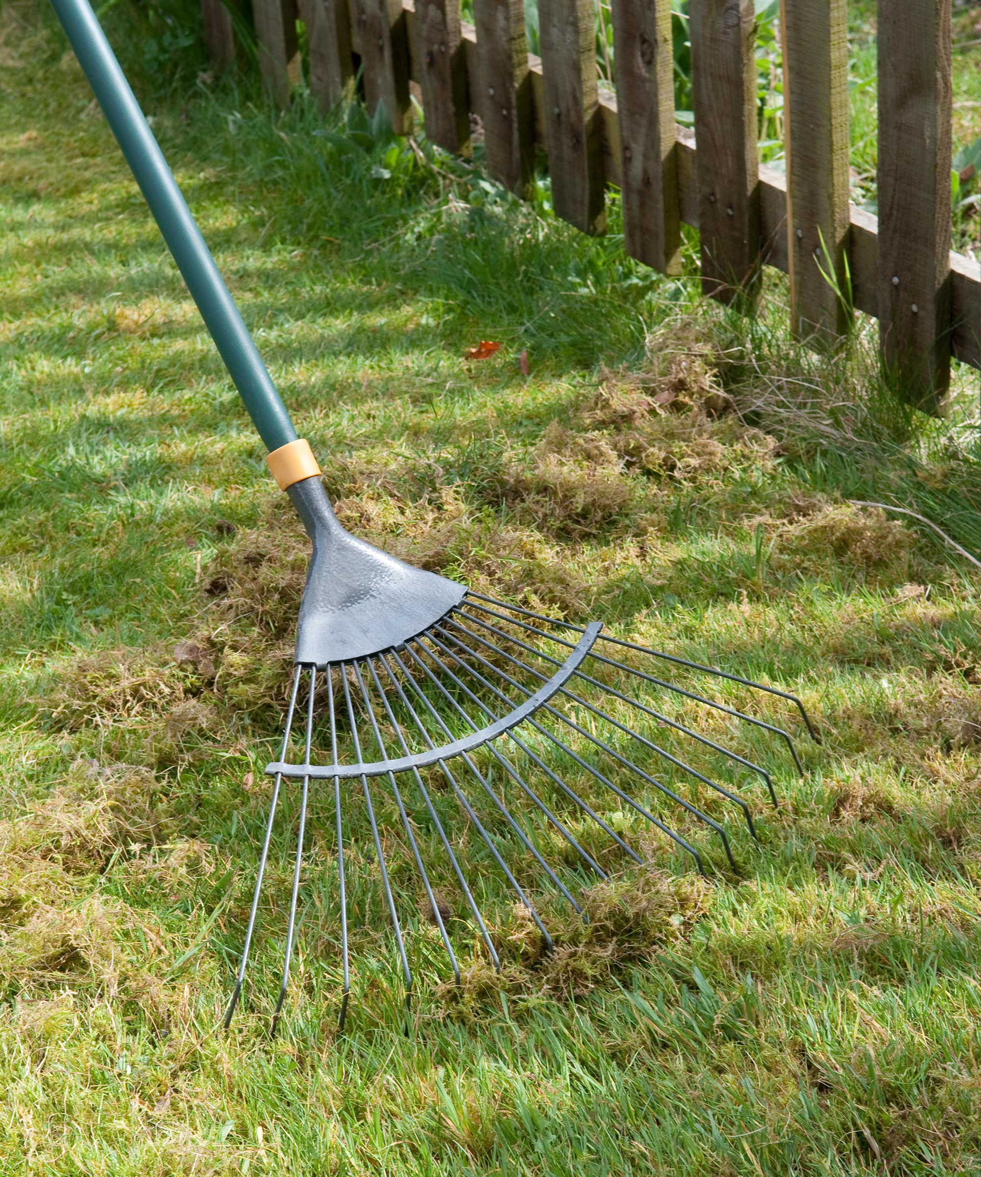 How to scarify a lawn: simple steps to give your grass a boost ...