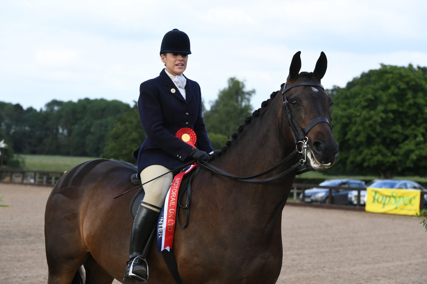 HorseNo250_HunterShow_PN19_36139-e1562587779988.jpg