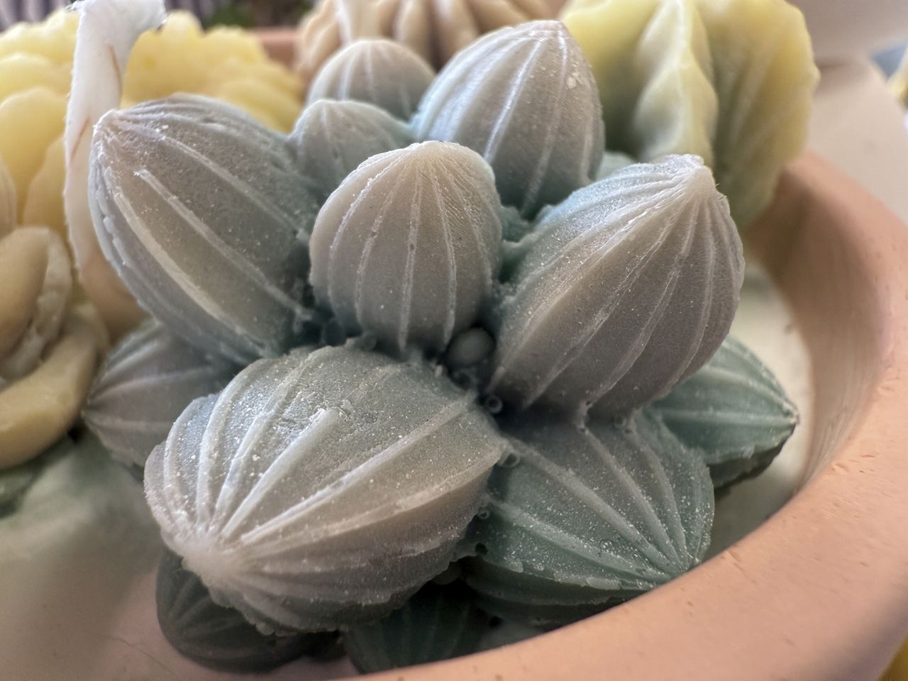 Apple iPhone 16 Pro Max macro sample.