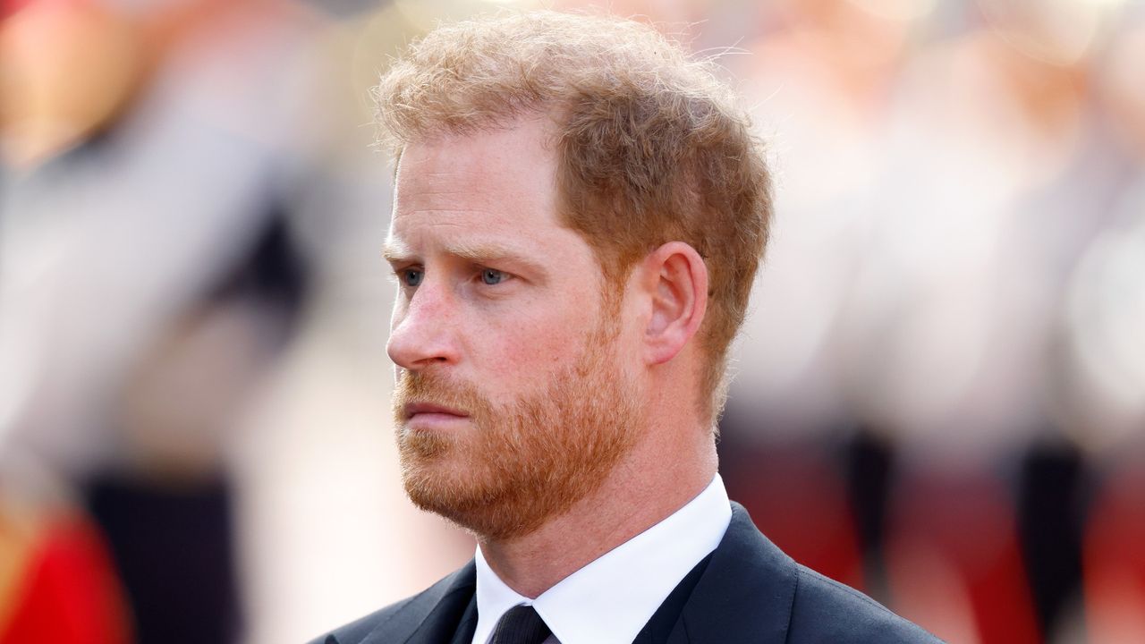 Prince Harry’s ‘dangerous’ flight claim disputed by army instructor. Seen here is Prince Harry ahead of the Queen&#039;s Lying-In-State