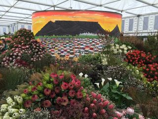 Cape Town image at 2018 Chelsea Flower Show