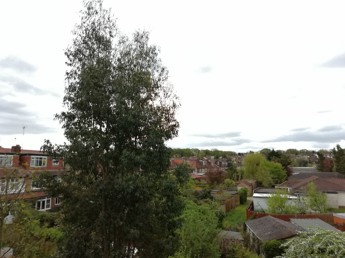 Poor dynamic range means skies often look blown out