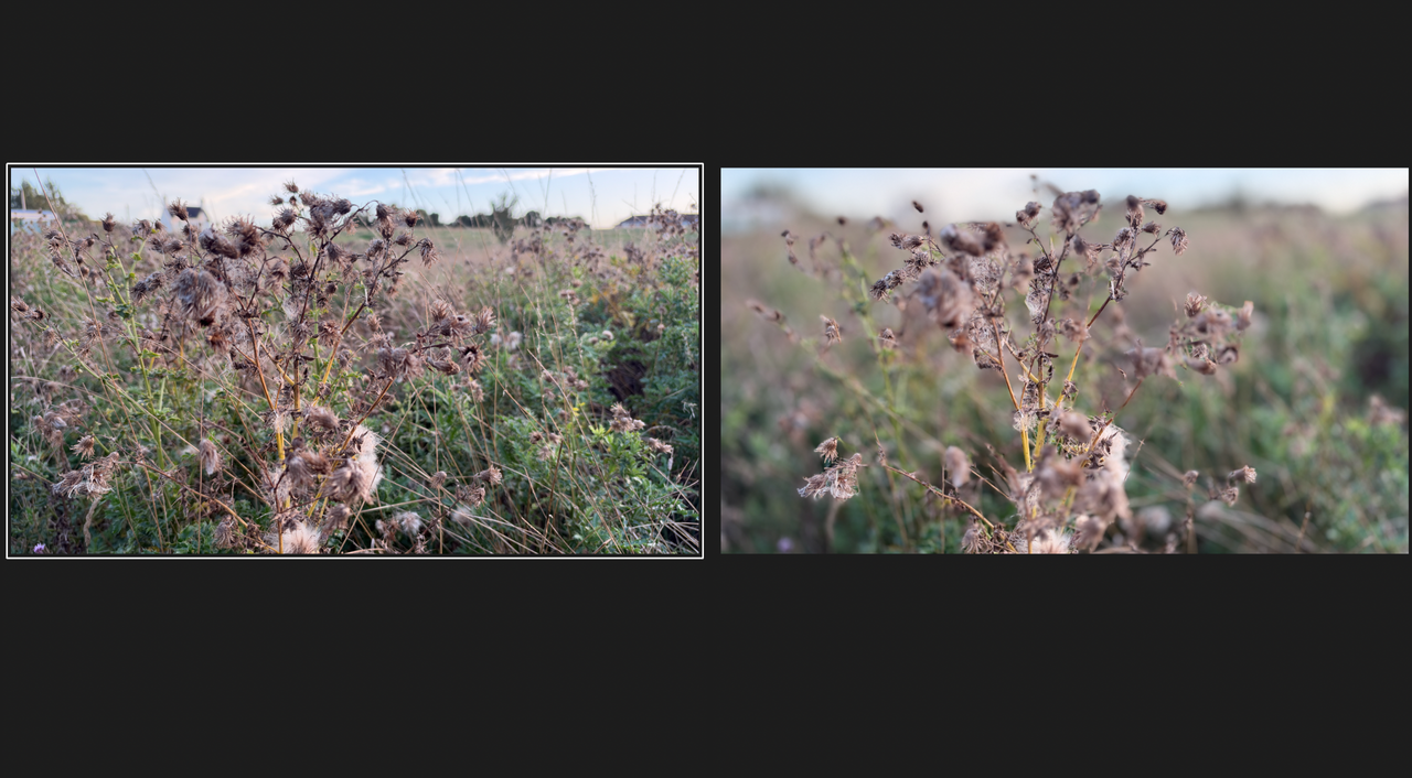 iPhone 18 Pro test image comparison