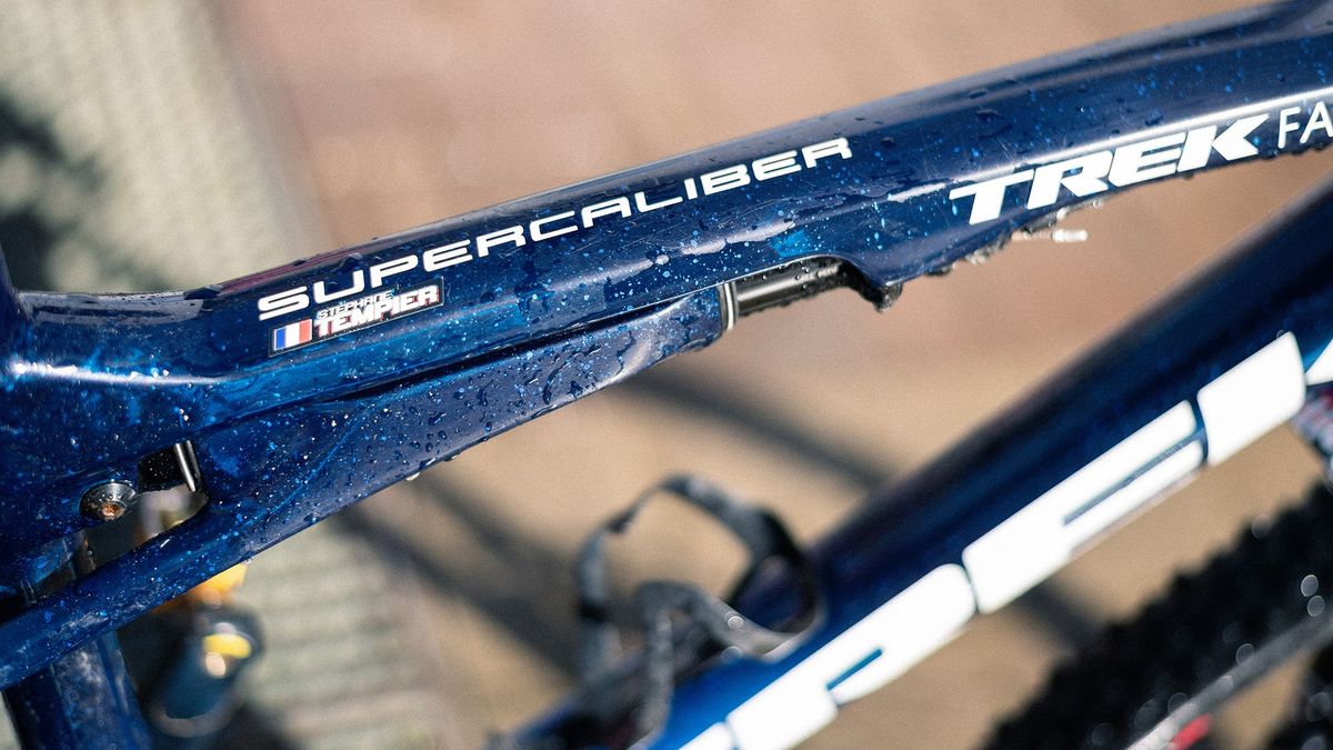 Name and nationality on the top tube, contrasting with Trek's fantastic Factory Racing sparkle colorway