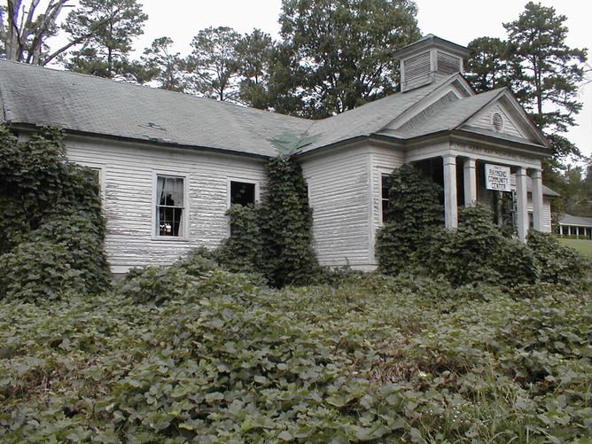 Kudzu attack, invasive species