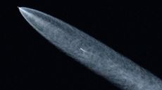 A streak of white shows a SpaceX rocket in the darkness of space.