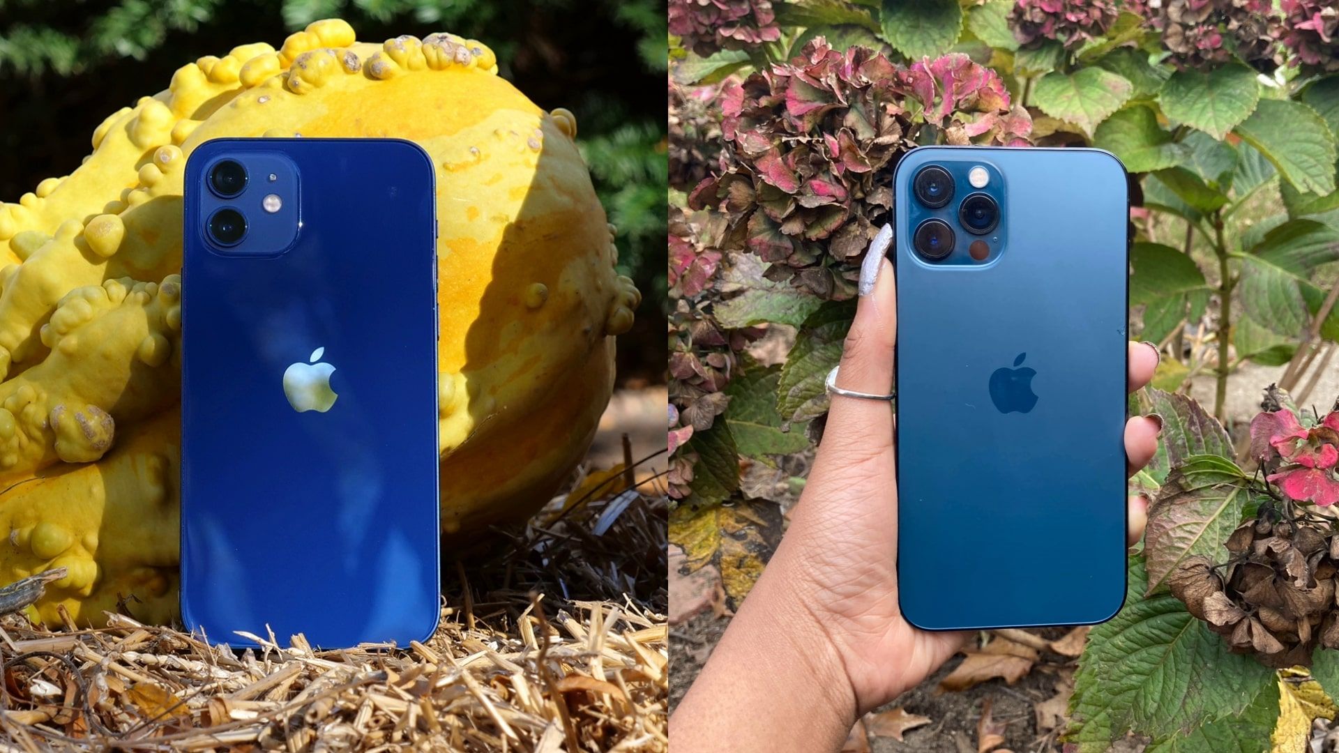 iPhone 12 vs. iPhone 12 Pro: Which should you buy? | Laptop Mag