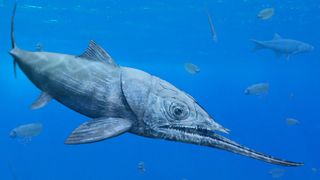 Large ancient fish with giant underbite known as Alienacanthus.