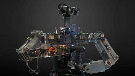 Prof. Rodney Brooks' Cog robot