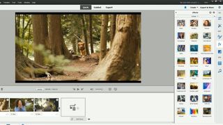 Interface showing photo of dog running through woods