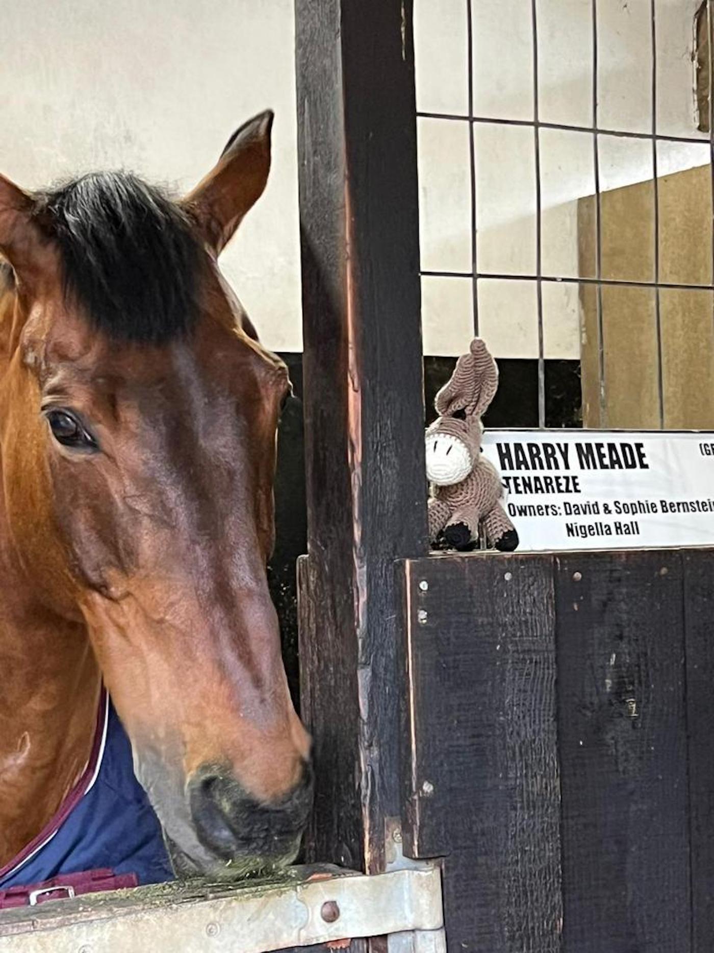Harry Meade's groom Jess Errington gives Tenareze a donkey mascot
