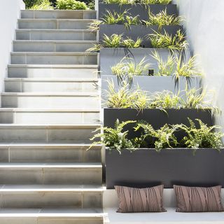 Stone steps leading up to a garden with tiered planters