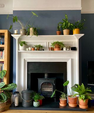 A navy blue living room with a white fireplace surrounded by indoor plants