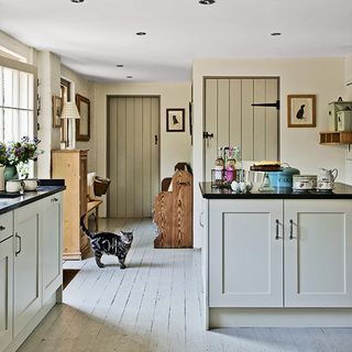 kitchen with two doors and cat