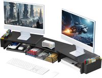 Gianotter dual monitor riser with storage