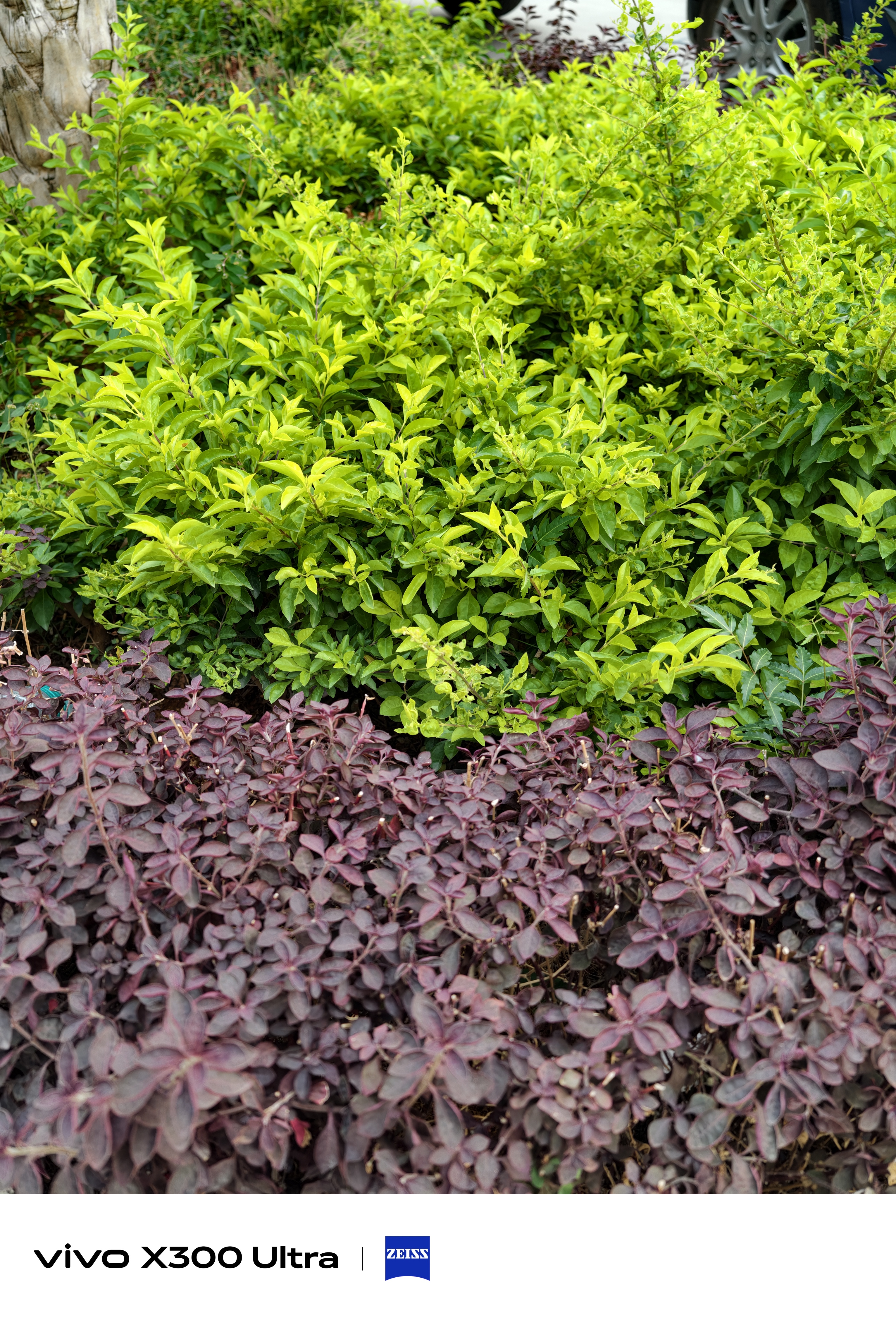 Vivo X300 Ultra camera testing in Hyderabad