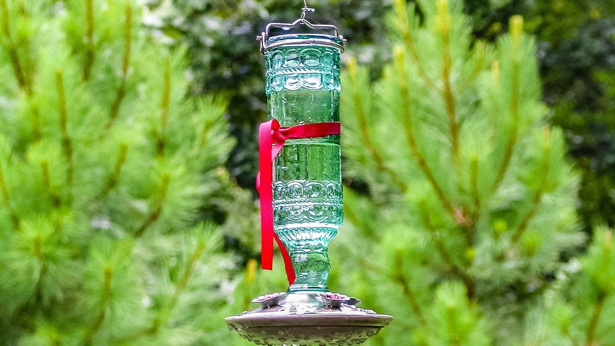 Red ribbon around feeder