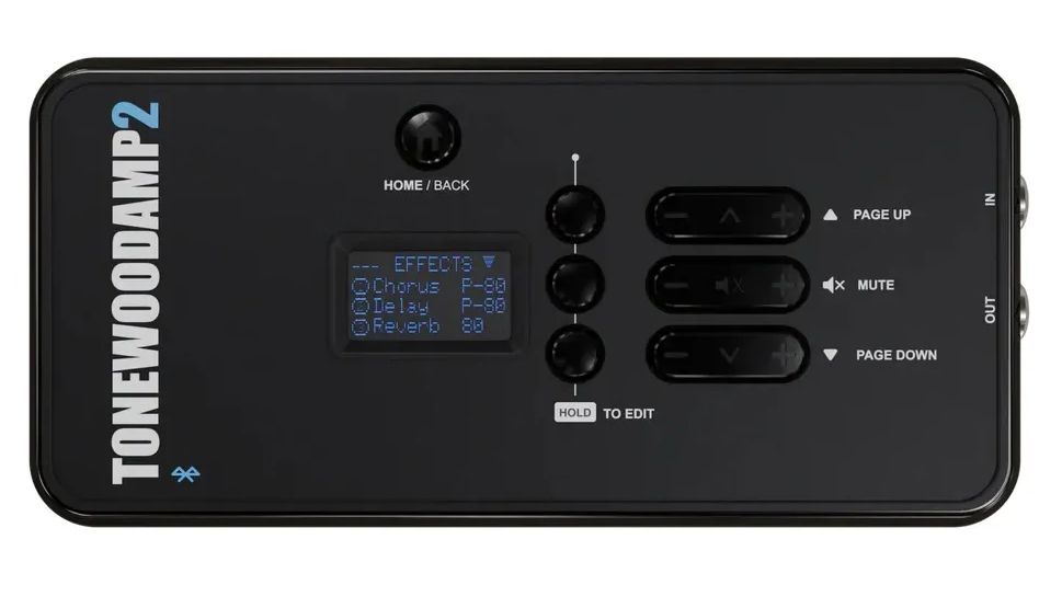A photo showing a ToneWoodAmp2