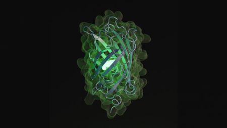 An artist's depiction of esmGFP, the new fluorescent protein created by ESM3.