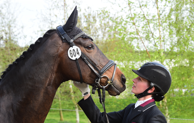Beth Barnett - Sheepcote Delight