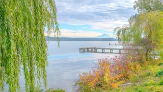 Scenic view of Lake Washington with greenery in the foreground and Mount Rainer in the background