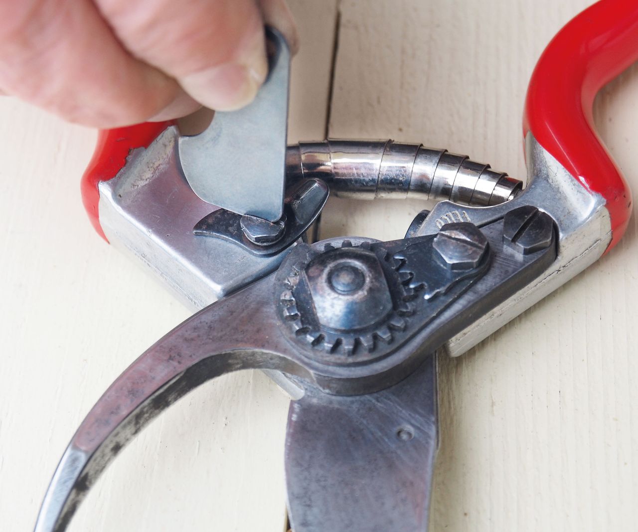 How to clean pruning shears expert tips for pristine tools Homes
