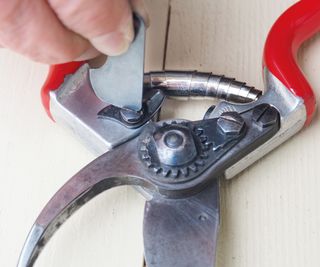 reassembling pruning shears after cleaning