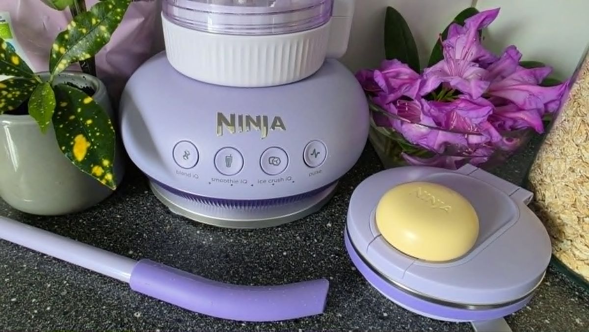 Ninja BlendBoss