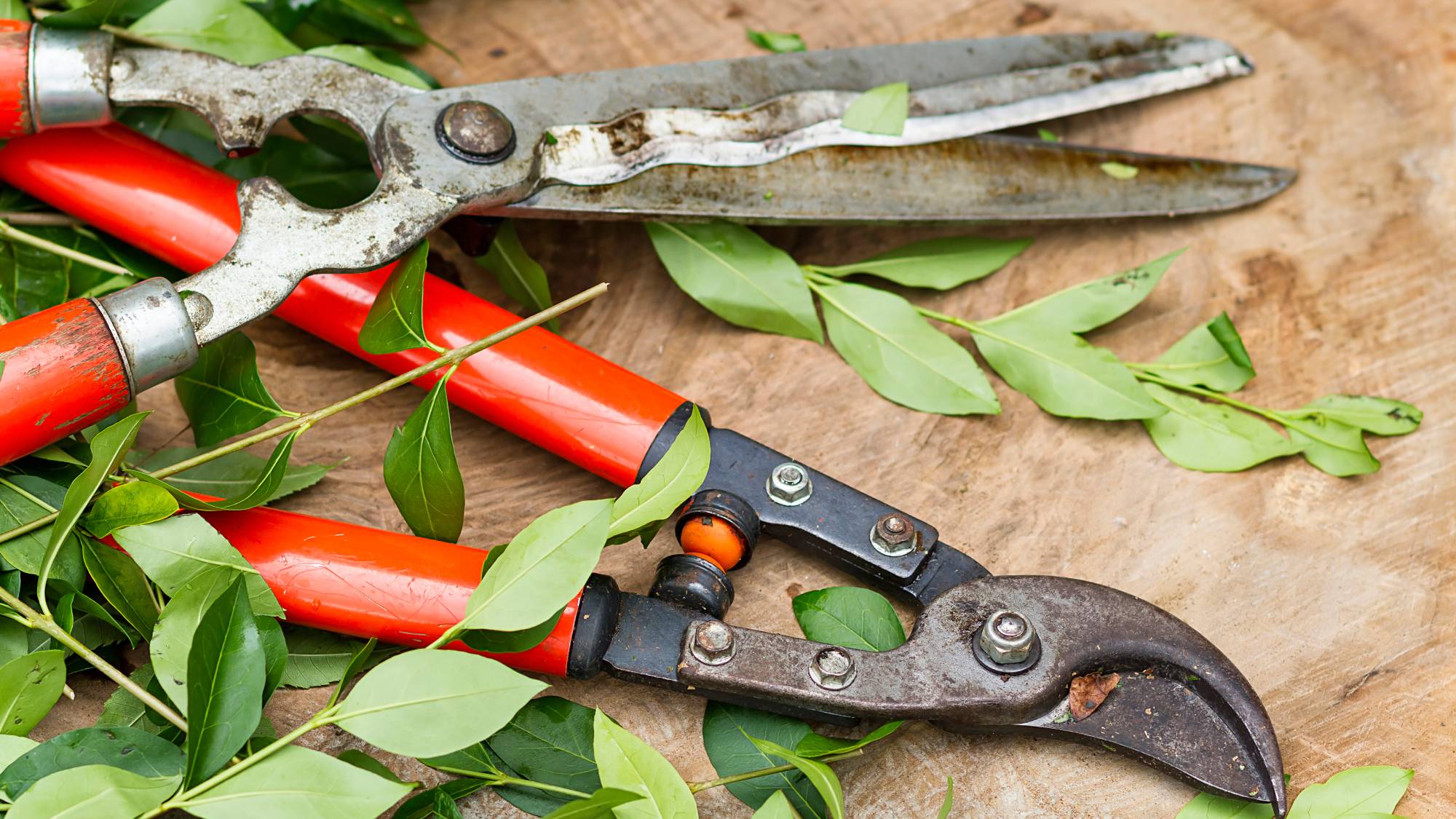 Loppers and hedge trimmers