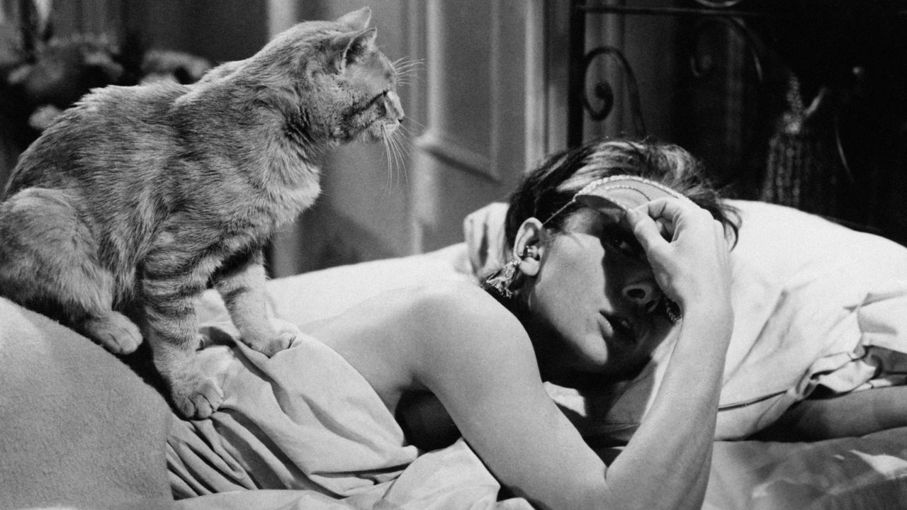 sleep audrey hepburn 154069071