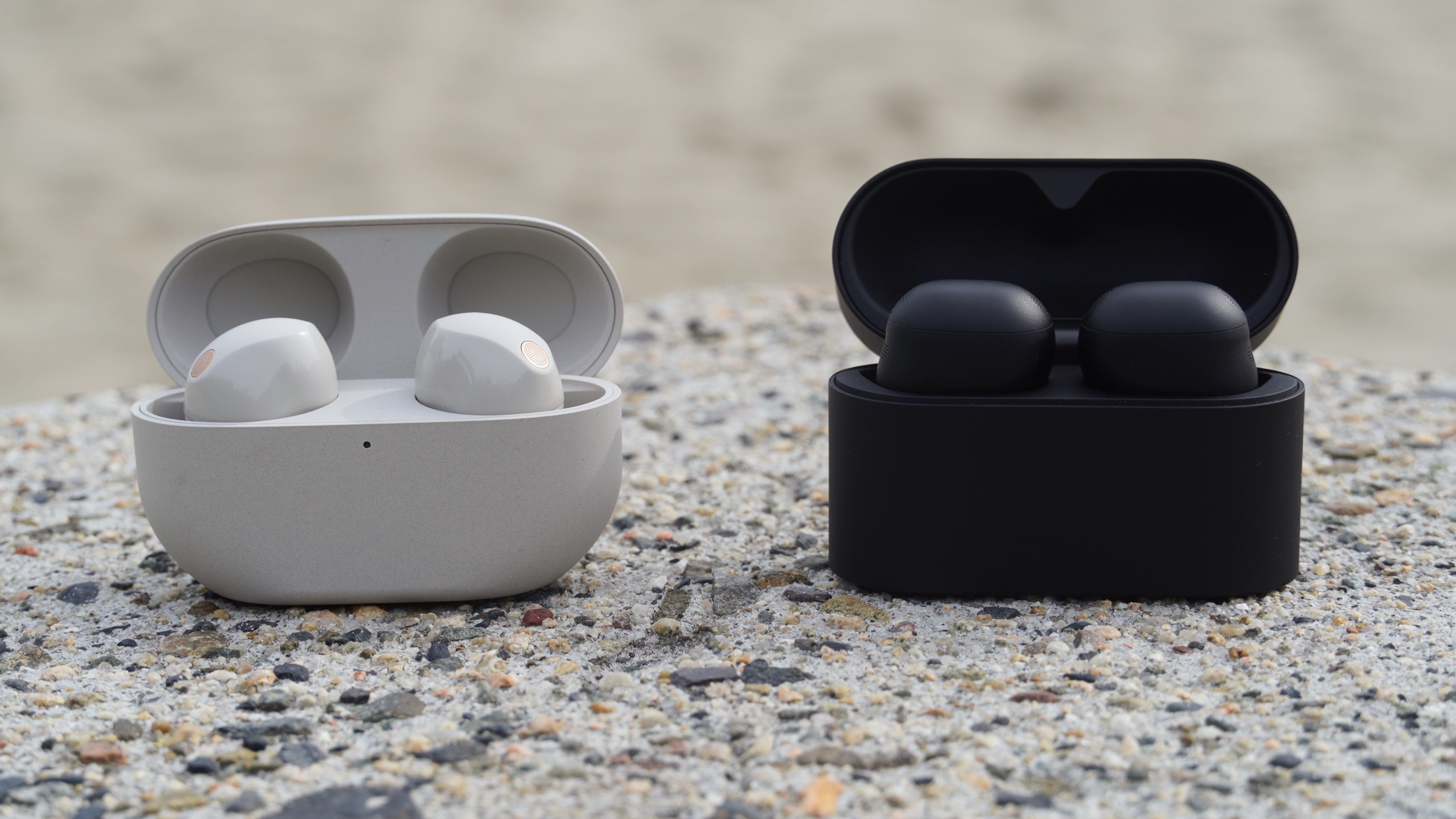 The Sony WF-1000XM5 in Platinum Silver compared to the Sony WF-1000XM6 in Black.