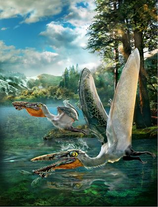 The pterosaur now called Ikrandraco avatar may have stored food in a throat pouch similar to a pelican.
