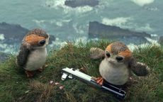 There's a very good reason why the tubby, adorable porgs in "The Last Jedi" resemble the equally endearing puffin.
