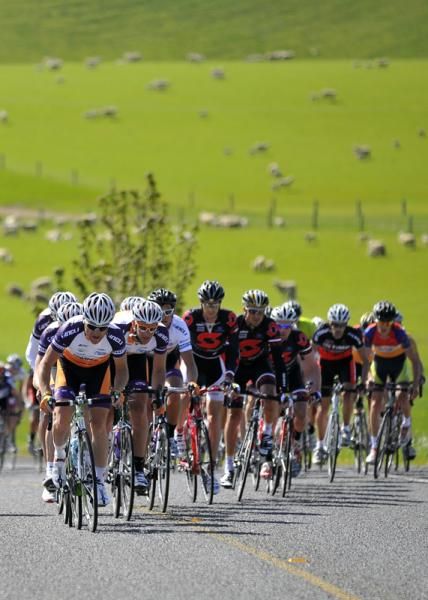The peloton tackles one of the climbs on the route.
