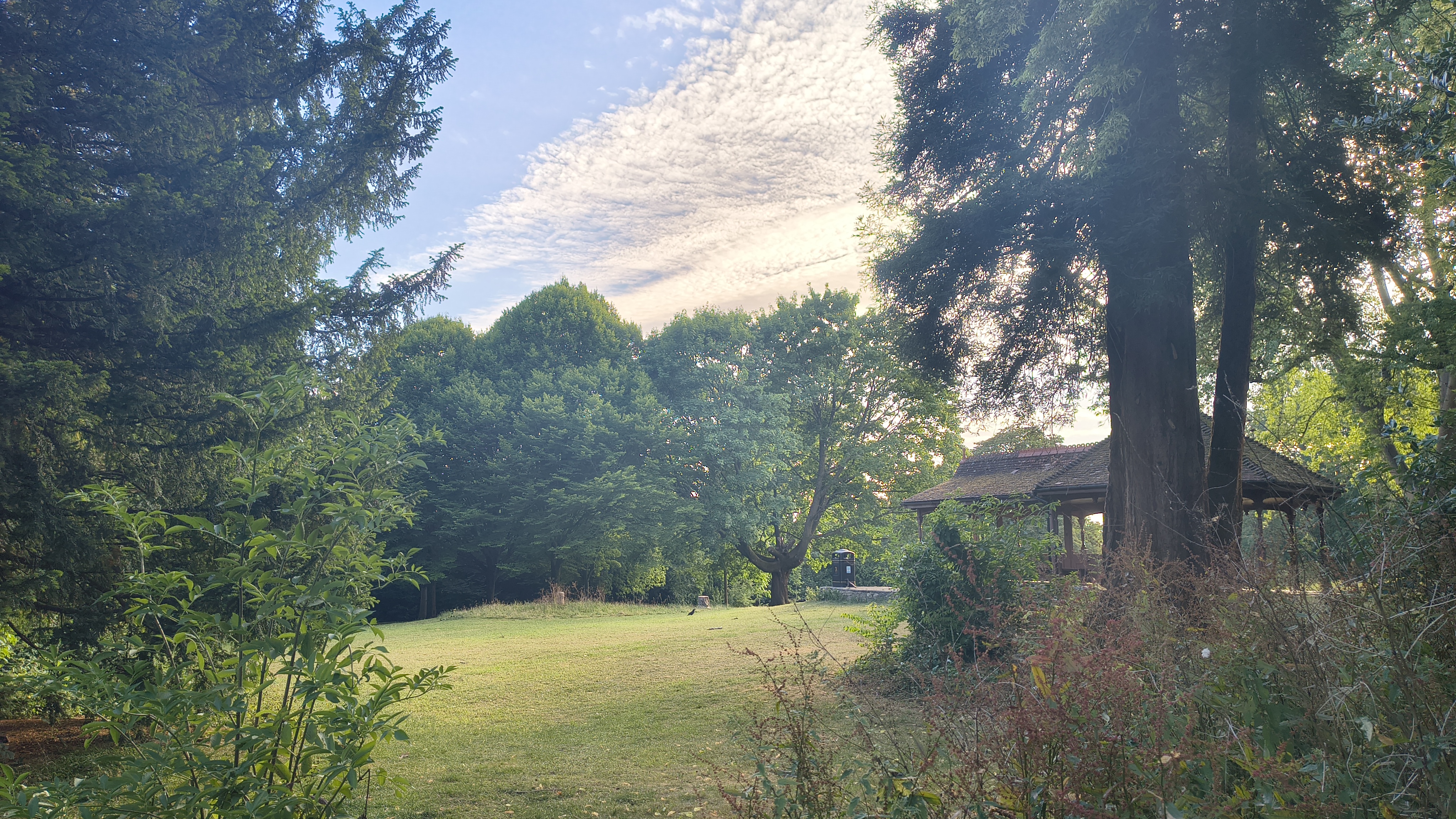 Photo of a park taken on the Motorola Edge 60 Fusion