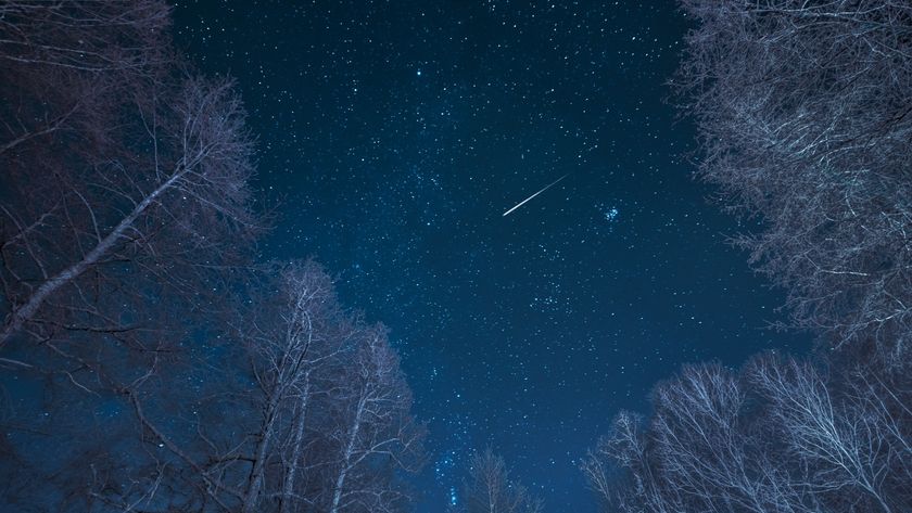 A meteor is pictured blazing through a star-strewn sky from the perspective of a viewer looking up through the barren tree branches of a snowy forest.