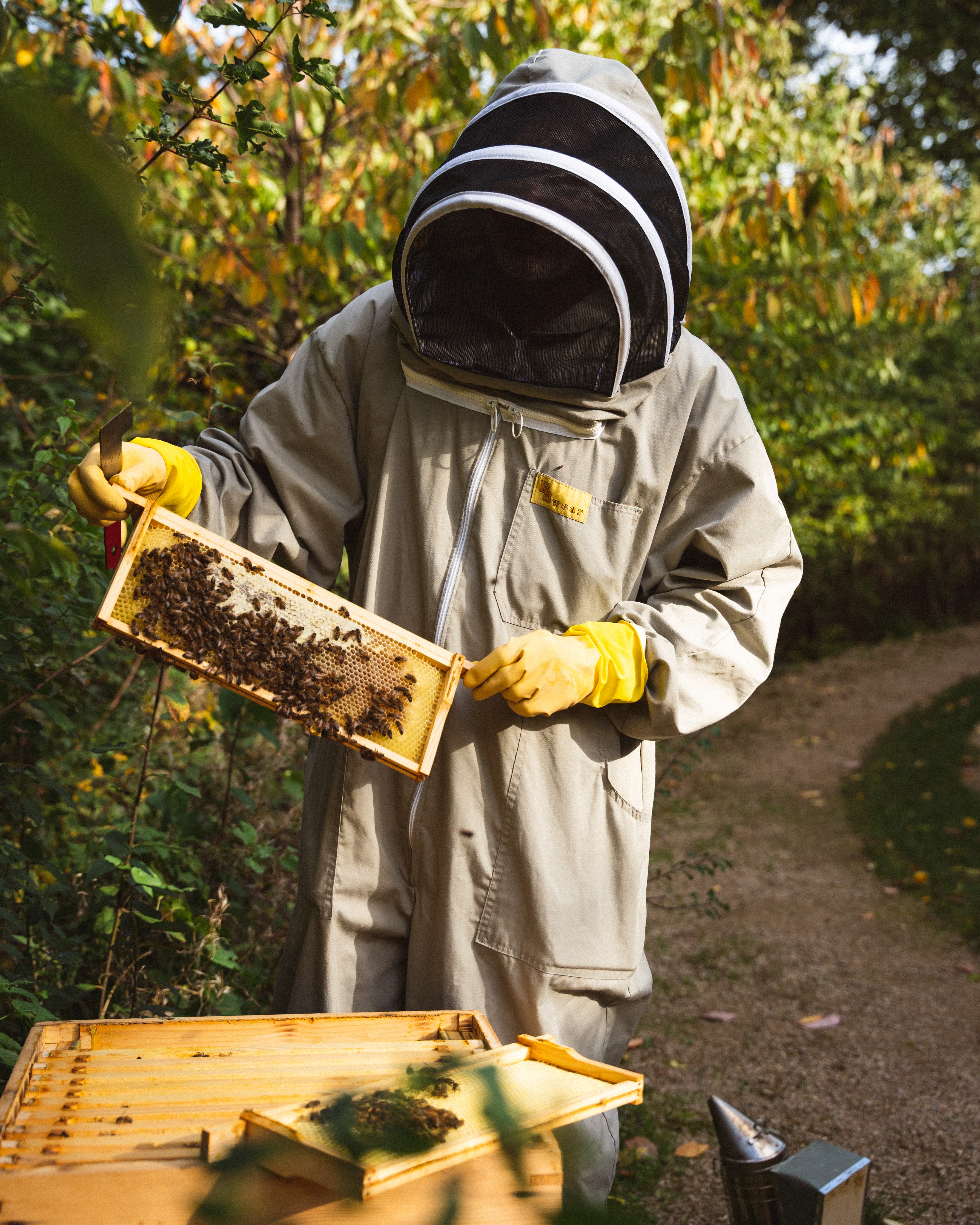 OmVed Gardens green space, honeybees and produce