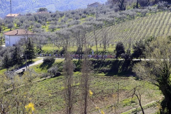 The peloton in action during stage 6 at Tirreno-Adriatico