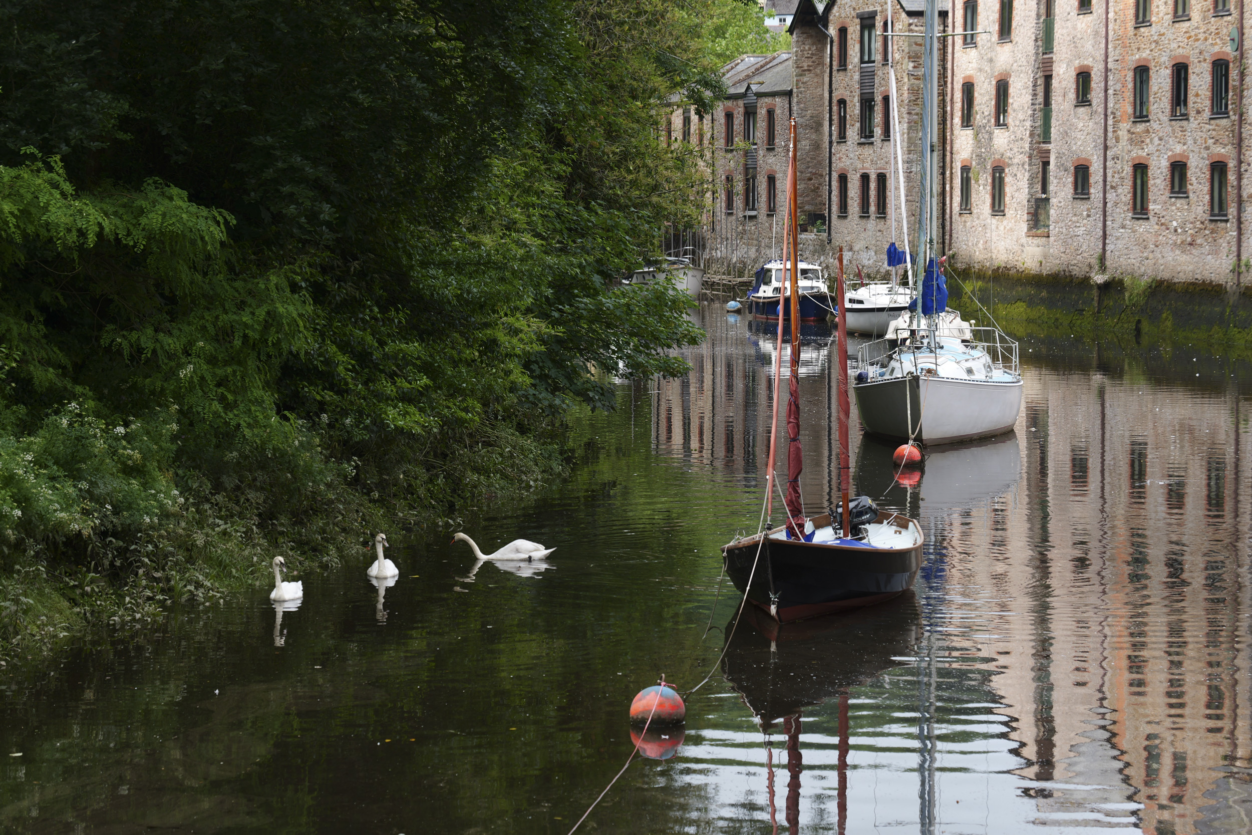 Panasonic Lumix S1 II sample gallery: sailing boats moored in a ruver