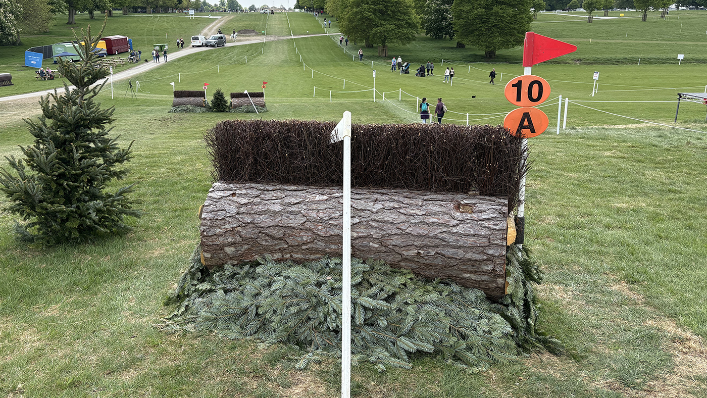 BE90 grassroots championships cross-country course: fence 10a