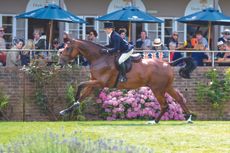Working hunter Royal International RIHS 2024 workers winner Kalani K and rider Amy Tough gallop in the main arena at Hickstead
