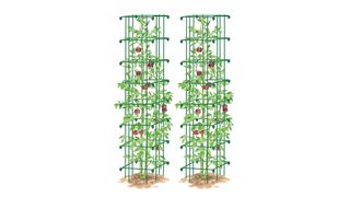 Gardener's Supply Company square heavy-gauge tomato cages