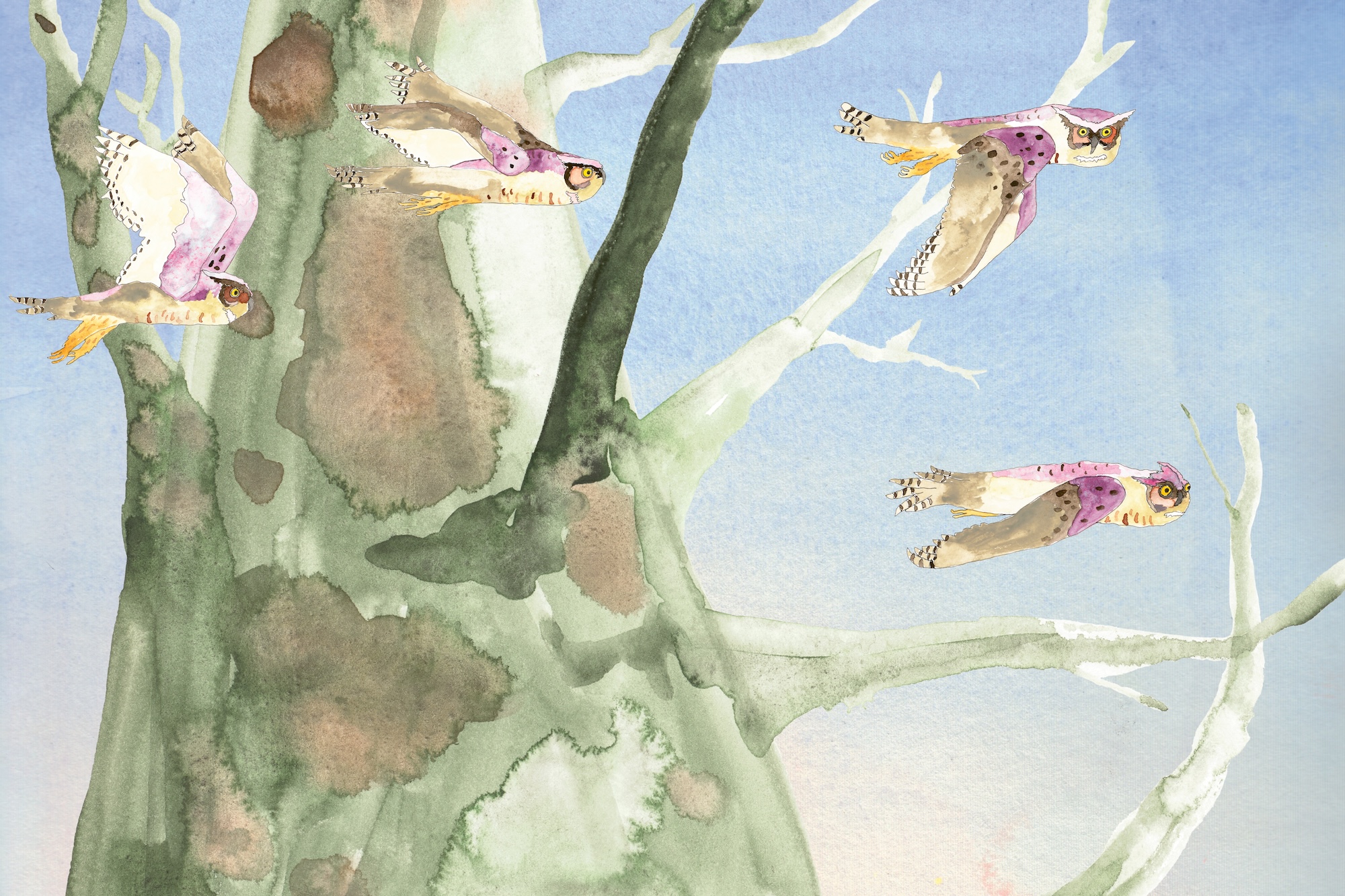 oralee clare crespo book