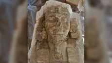 The head of King Amenhotep III, whose statue was fashioned to look like sphinx.