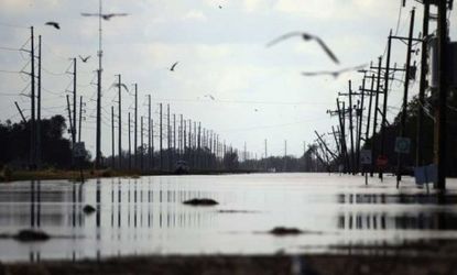 In Plaquemines Parish, La., birds fly on Sept. 2 above flooding caused by Hurricane Isaac: Hundreds of thousands of Pelican State residents are still without power.