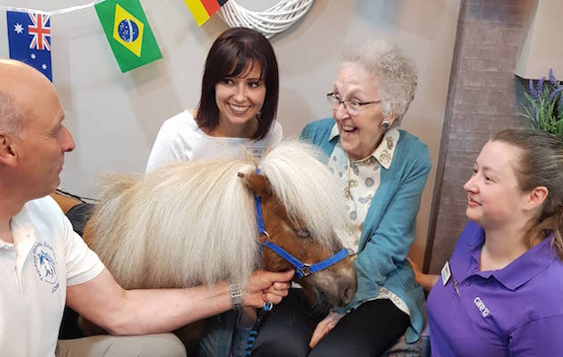 TherapyShetland.jpg