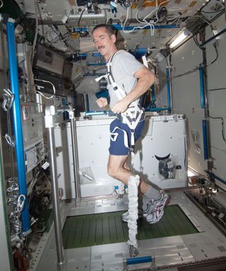 Astronaut Chris Hadfield inside the International Space Station. He is exercising on a specialized treadmill and due to the lack of gravity, he is wearing a harness at the waist attached to the ground that helps keep his feet on the treadmill