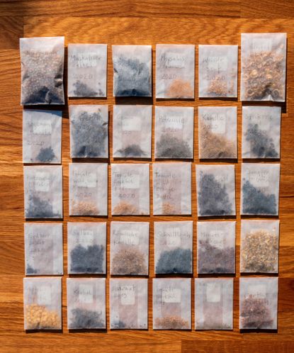 DIY seed storage ideas: 5 ways to repurpose items | Homes and Gardens